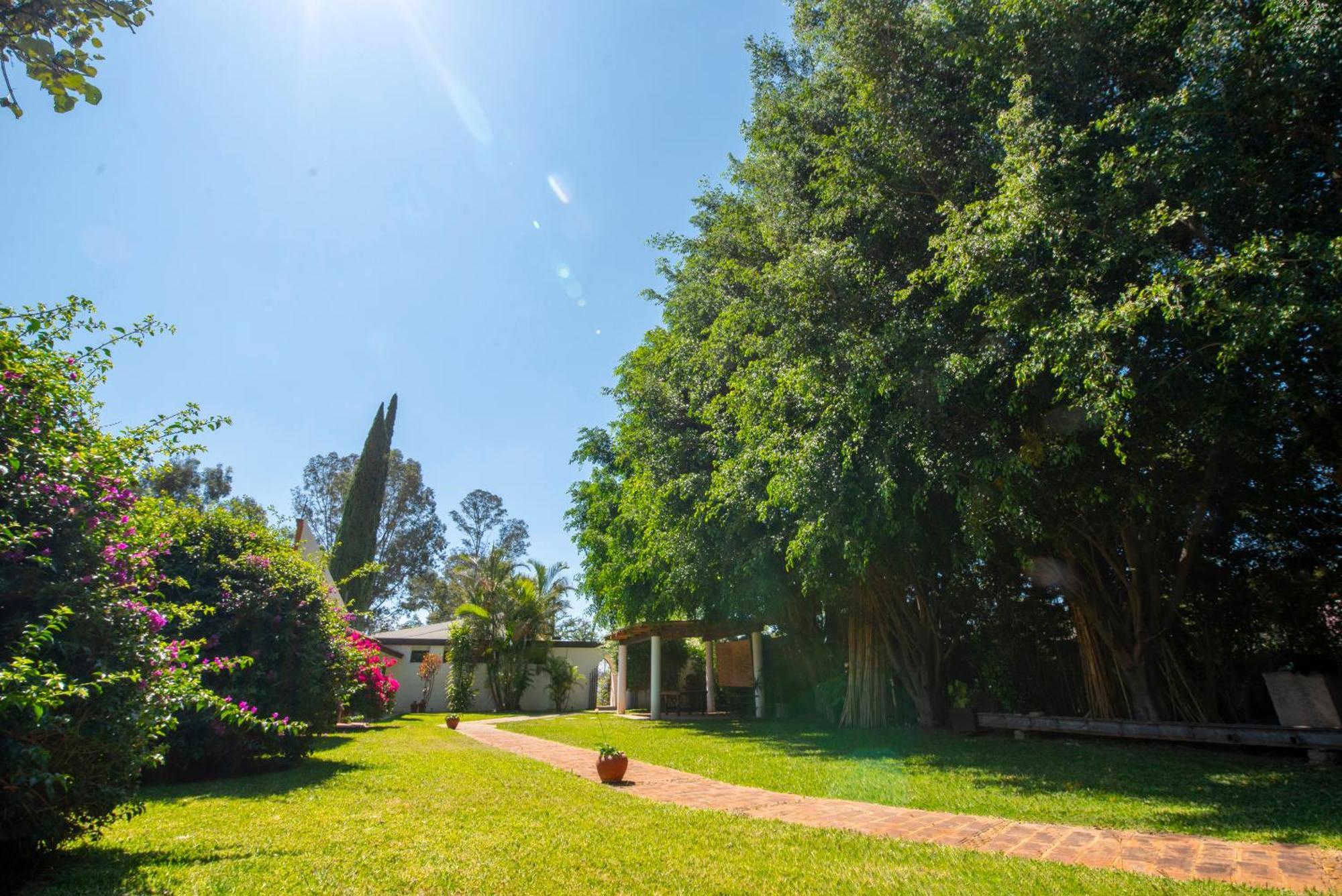 Villa Borghese Hotel Boutique - Adults Only Oaxaca Dış mekan fotoğraf